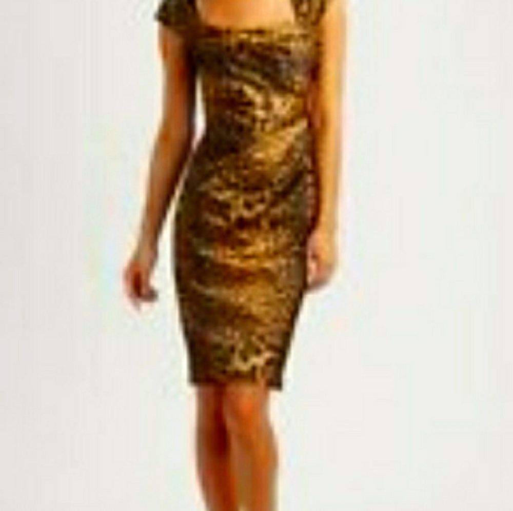 NWT Tadashi Shoji dress